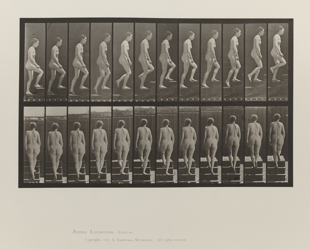 Animal Locomotion, Volume III, Women (Nude). Plate 92