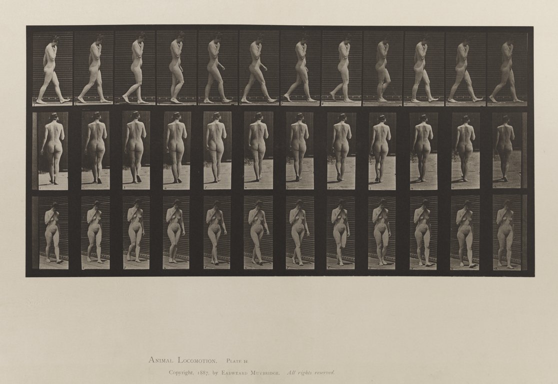 Animal Locomotion, Volume III, Women (Nude). Plate 14