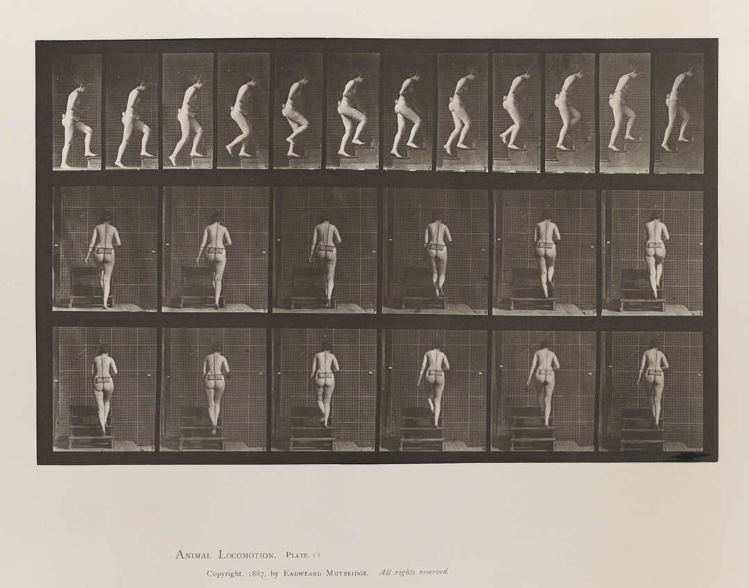 Animal Locomotion, Volume III, Women (Nude). Plate 93