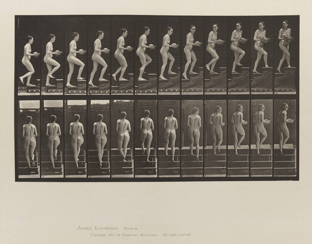 Animal Locomotion, Volume III, Women (Nude). Plate 94