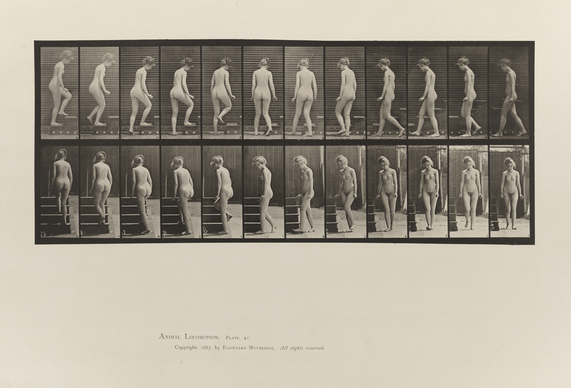 Animal Locomotion, Volume III, Women (Nude). Plate 98