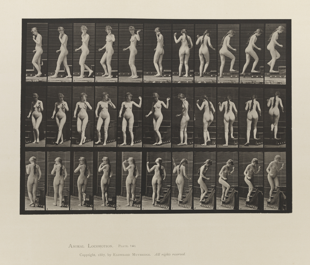 Animal Locomotion, Volume III, Women (Nude). Plate 101