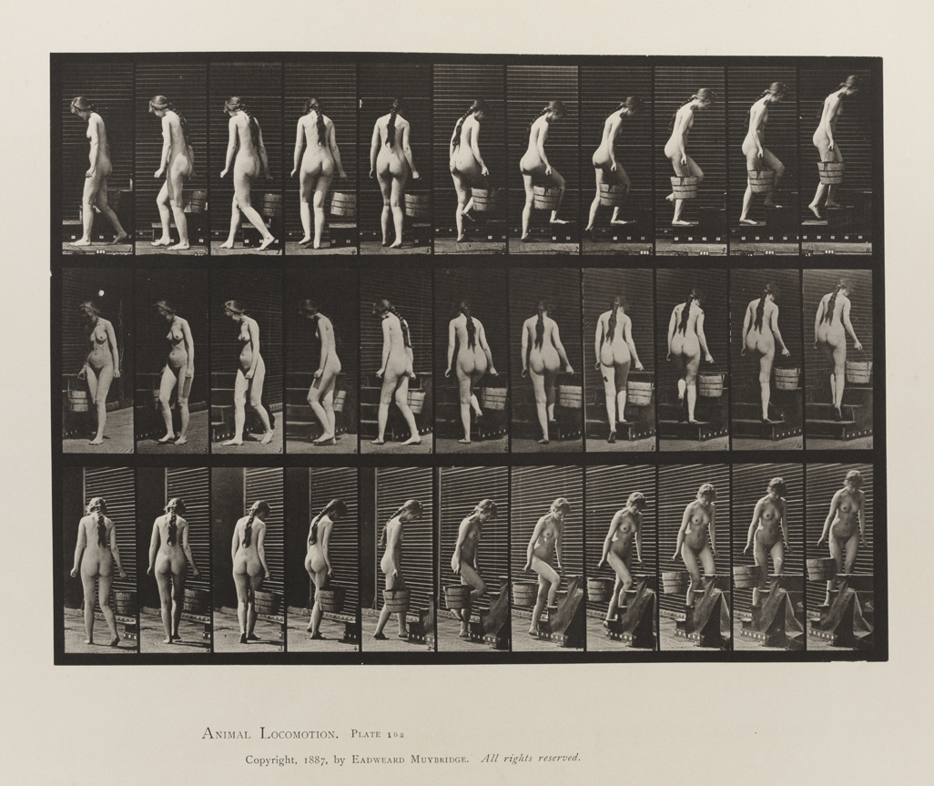 Animal Locomotion, Volume III, Women (Nude). Plate 102