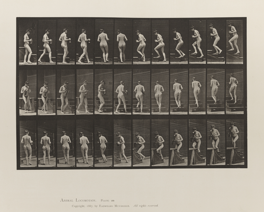 Animal Locomotion, Volume III, Women (Nude). Plate 103