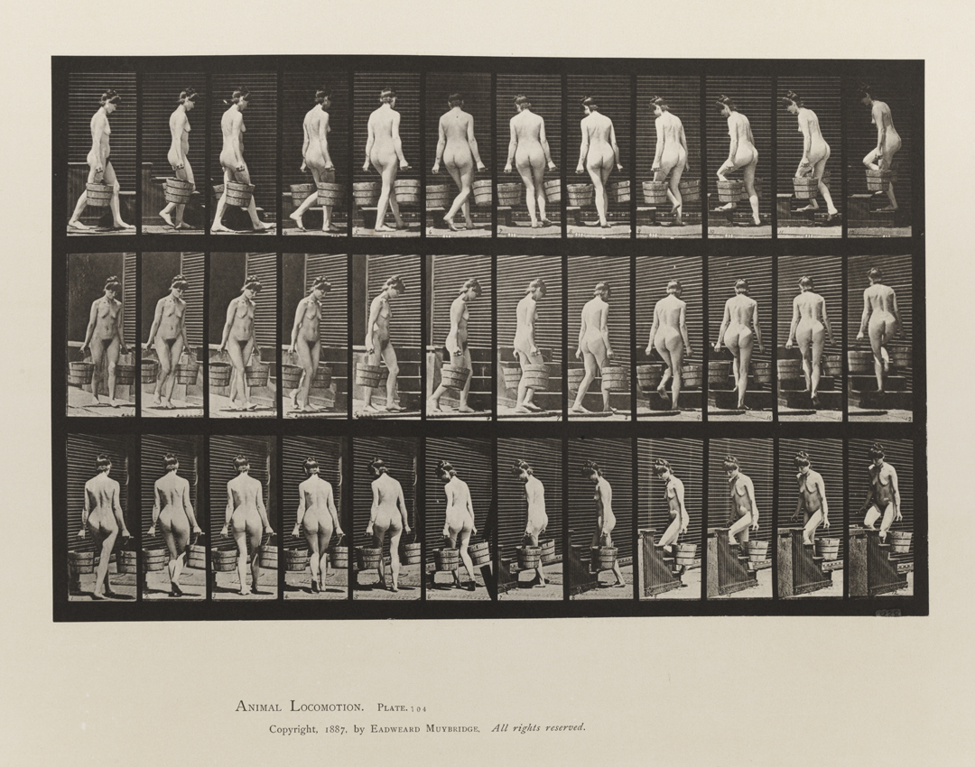 Animal Locomotion, Volume III, Women (Nude). Plate 104