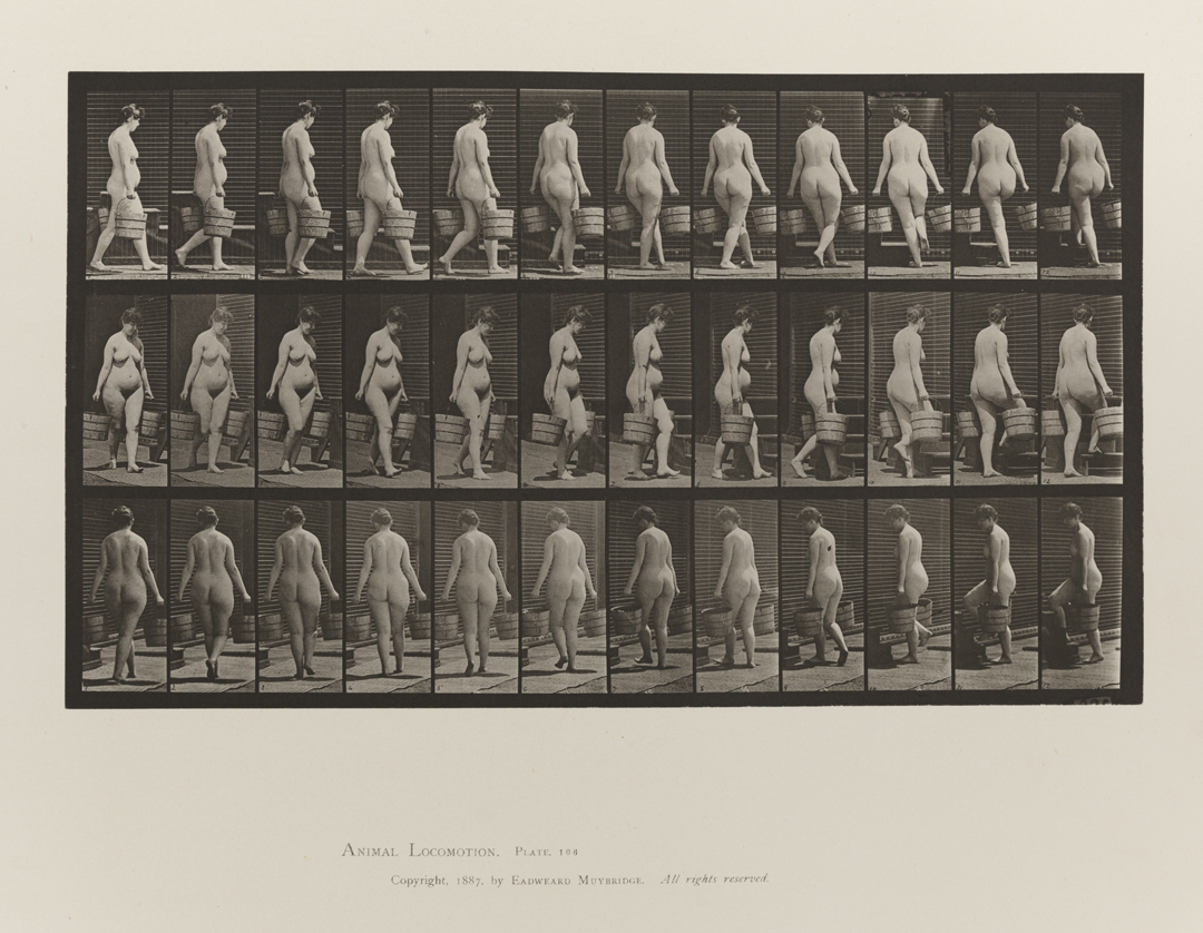 Animal Locomotion, Volume III, Women (Nude). Plate 106