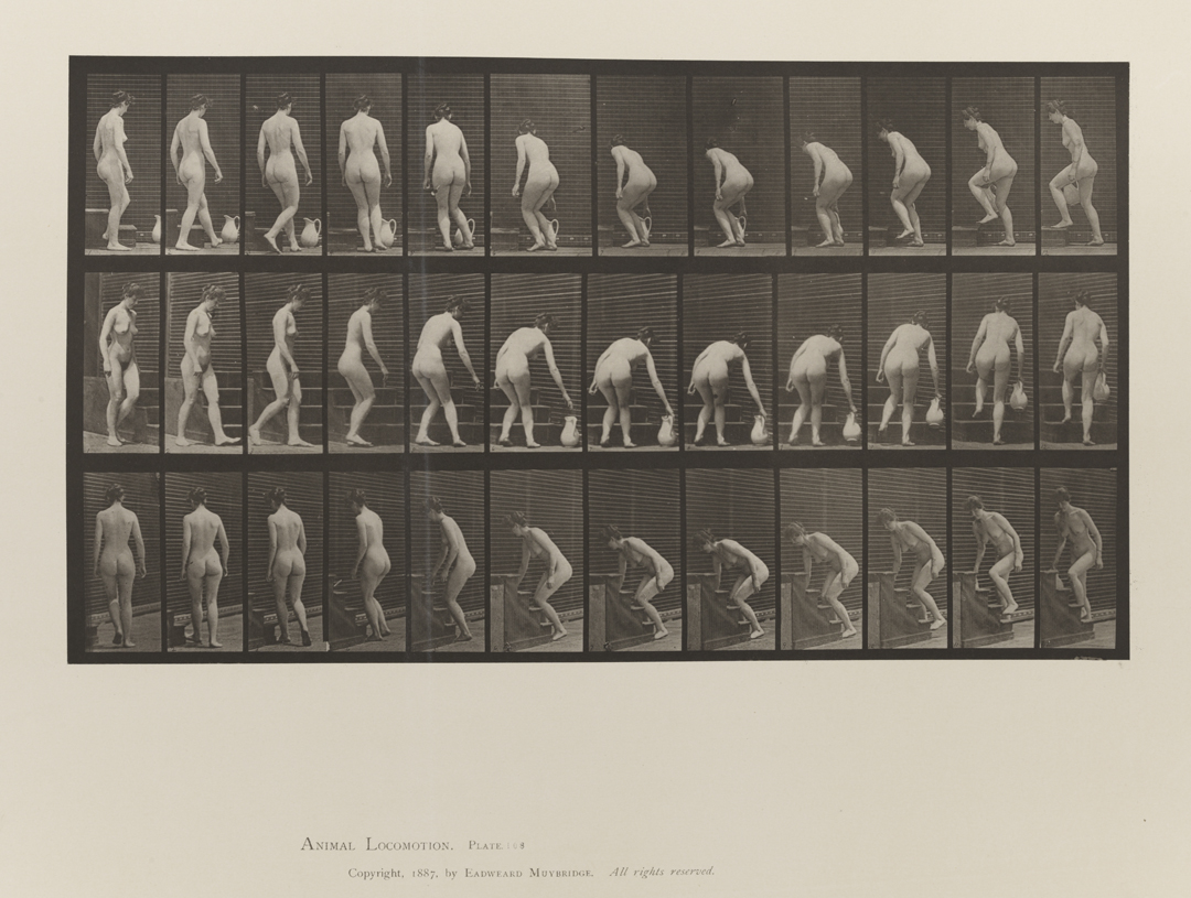 Animal Locomotion, Volume III, Women (Nude). Plate 108