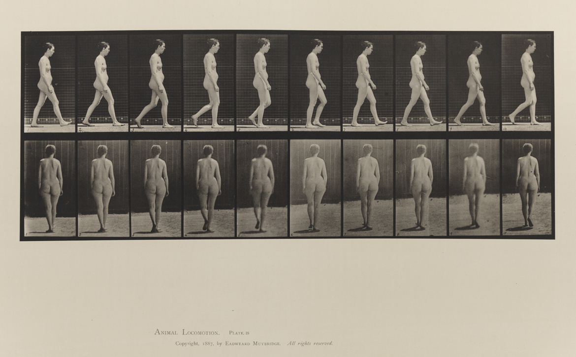 Animal Locomotion, Volume III, Women (Nude). Plate 15