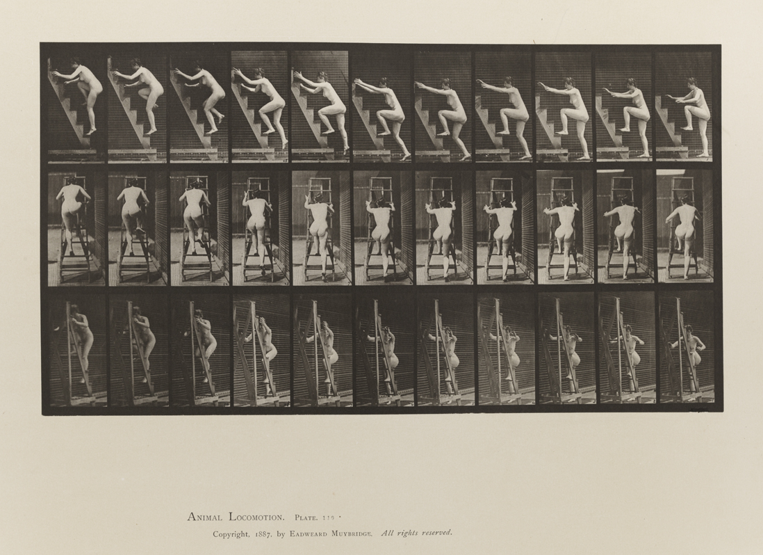 Animal Locomotion, Volume III, Women (Nude). Plate 110
