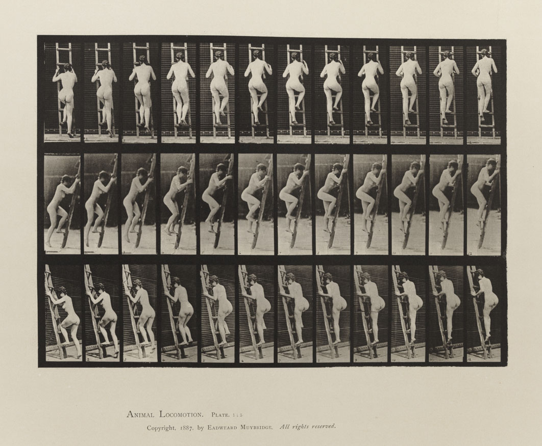 Animal Locomotion, Volume III, Women (Nude). Plate 112