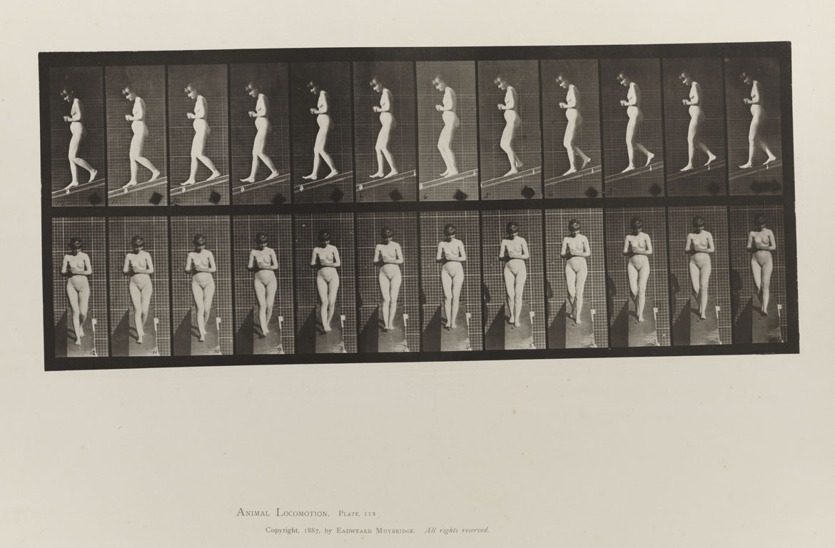 Animal Locomotion, Volume III, Women (Nude). Plate 115