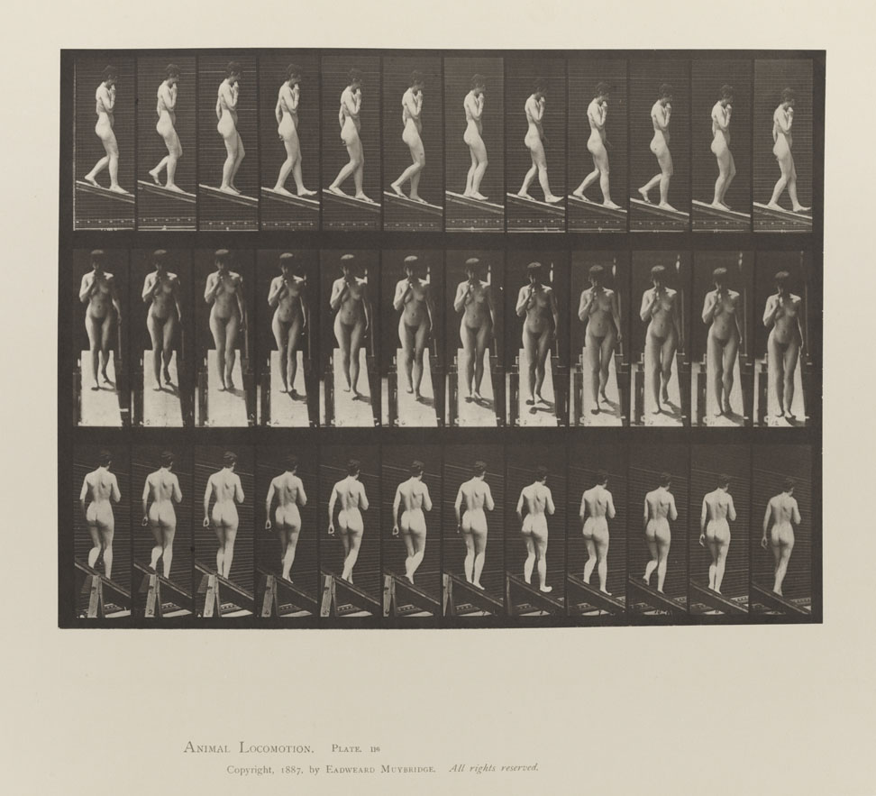Animal Locomotion, Volume III, Women (Nude). Plate 116