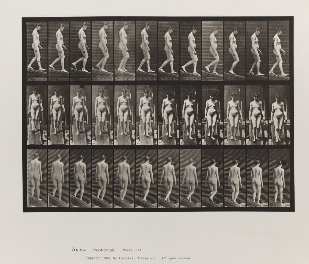 Animal Locomotion, Volume III, Women (Nude). Plate 117