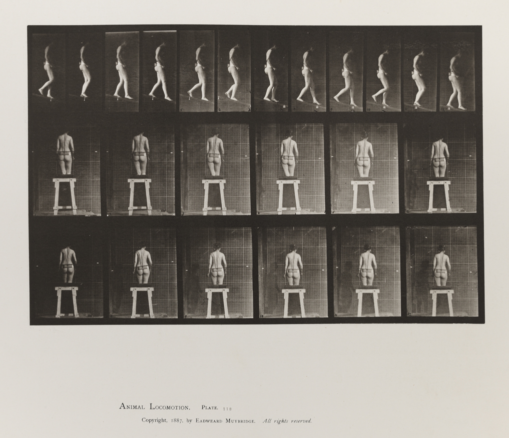 Animal Locomotion, Volume III, Women (Nude). Plate 118