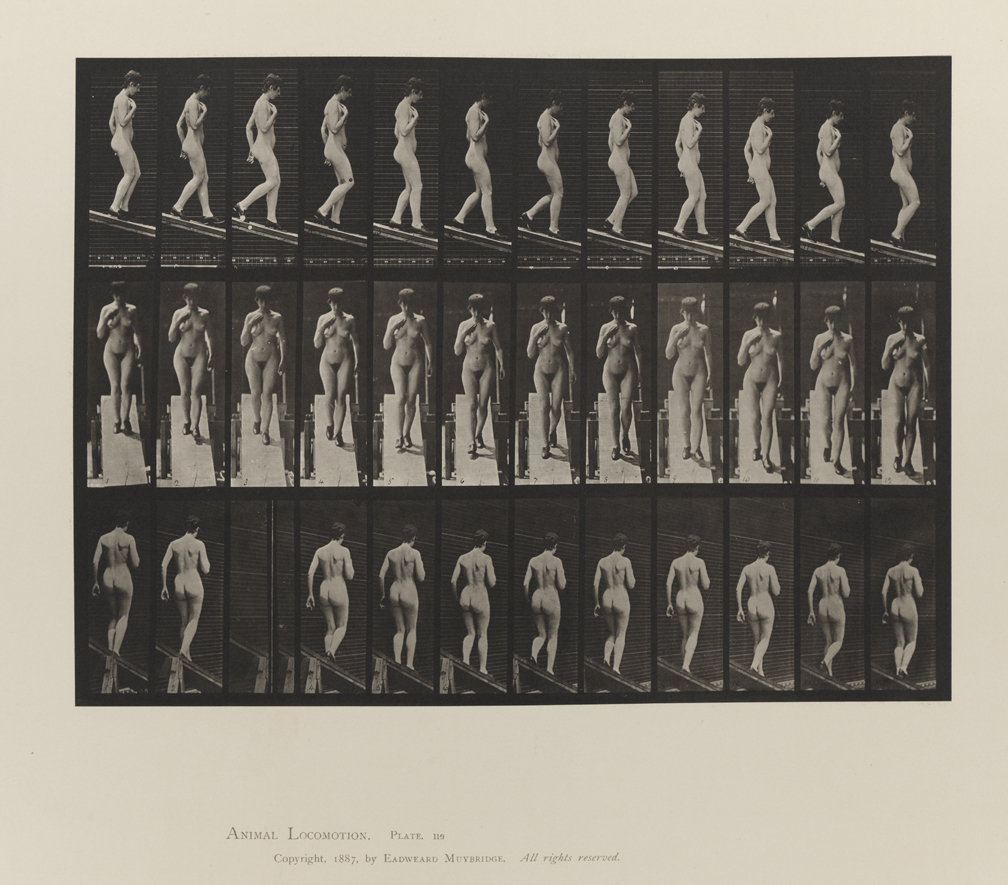 Animal Locomotion, Volume III, Women (Nude). Plate 119