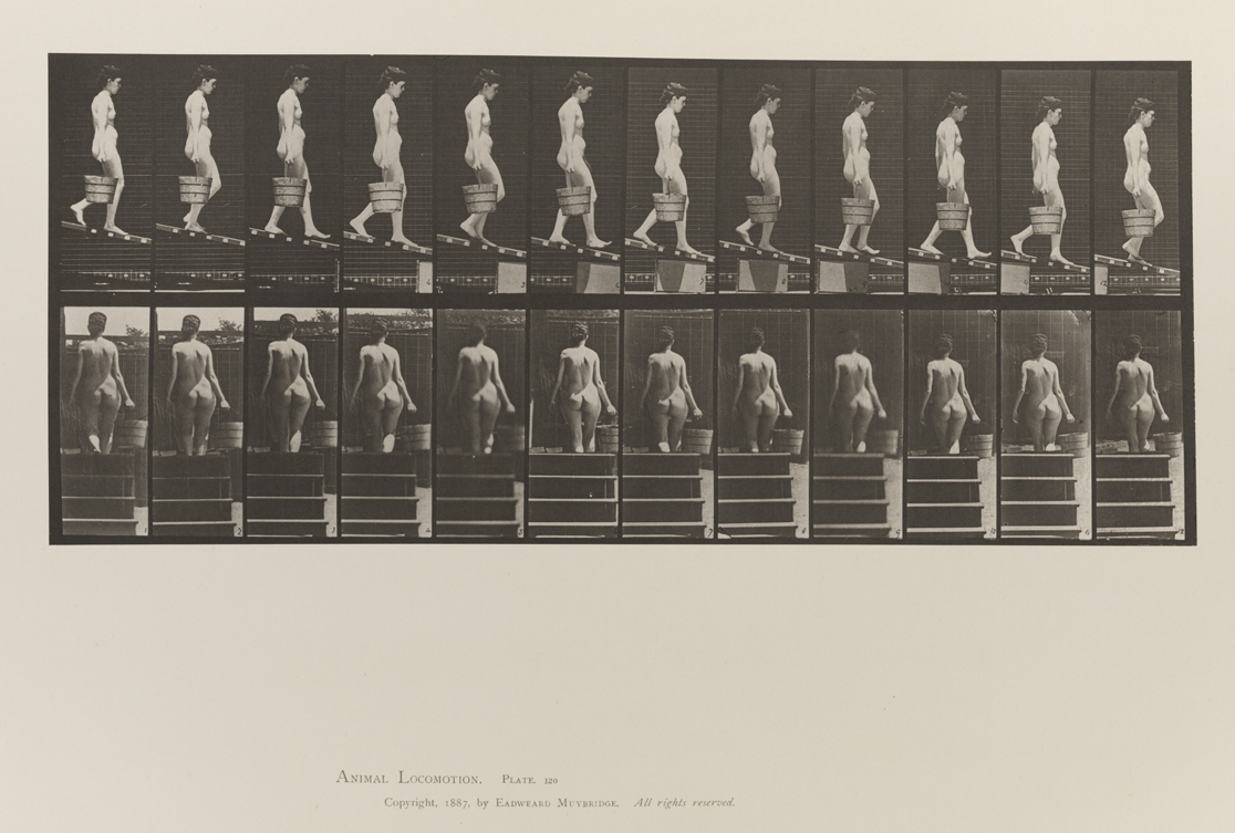 Animal Locomotion, Volume III, Women (Nude). Plate 120