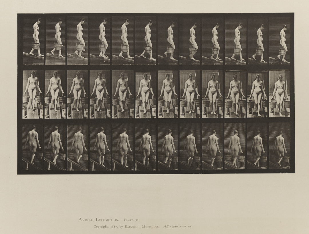 Animal Locomotion, Volume III, Women (Nude). Plate 121