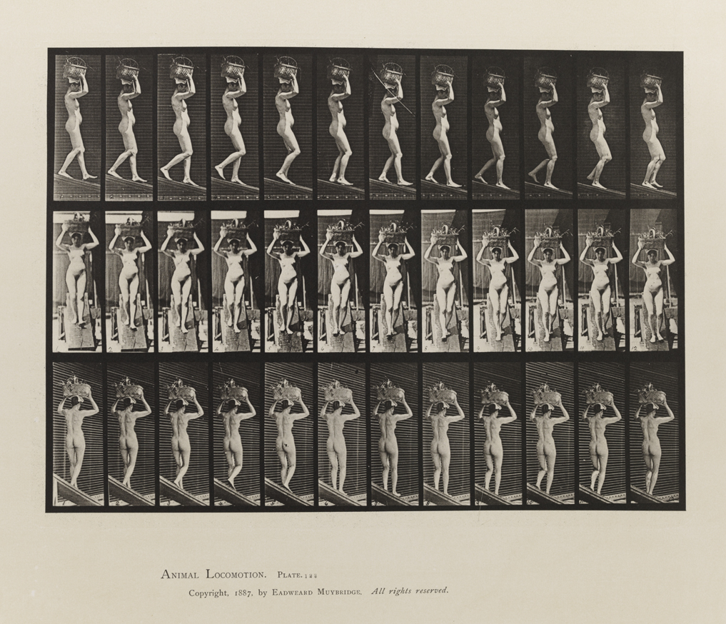 Animal Locomotion, Volume III, Women (Nude). Plate 123
