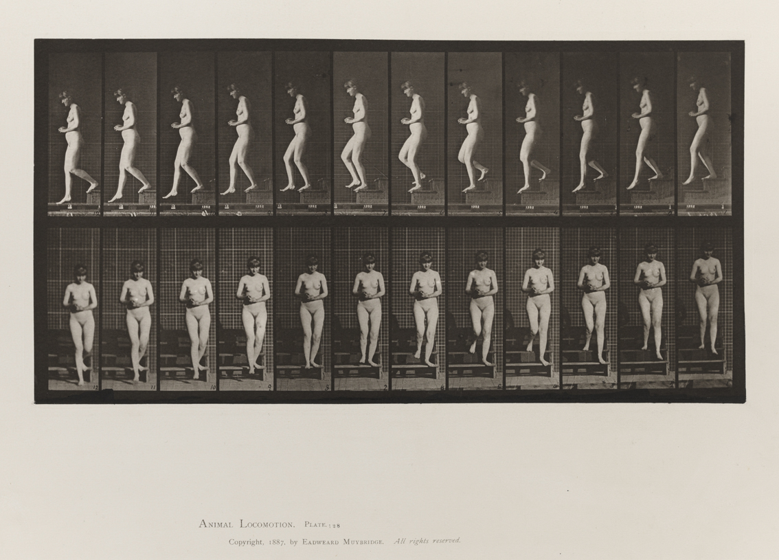 Animal Locomotion, Volume III, Women (Nude). Plate 128