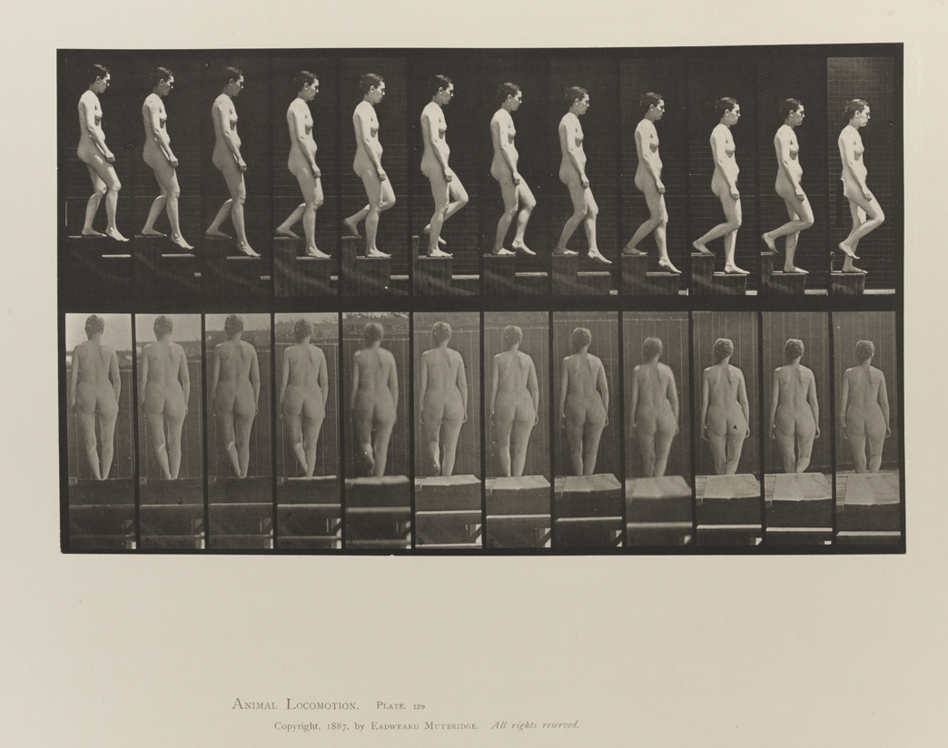 Animal Locomotion, Volume III, Women (Nude). Plate 129