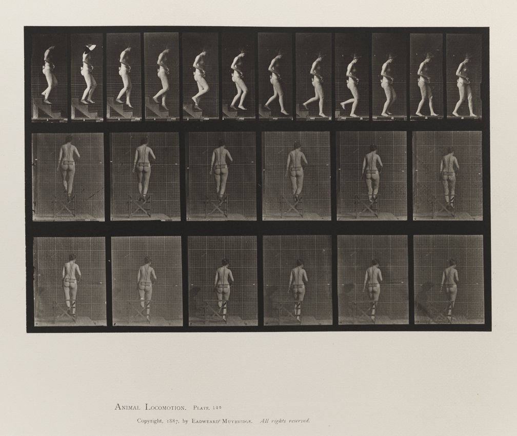Animal Locomotion, Volume III, Women (Nude). Plate 130