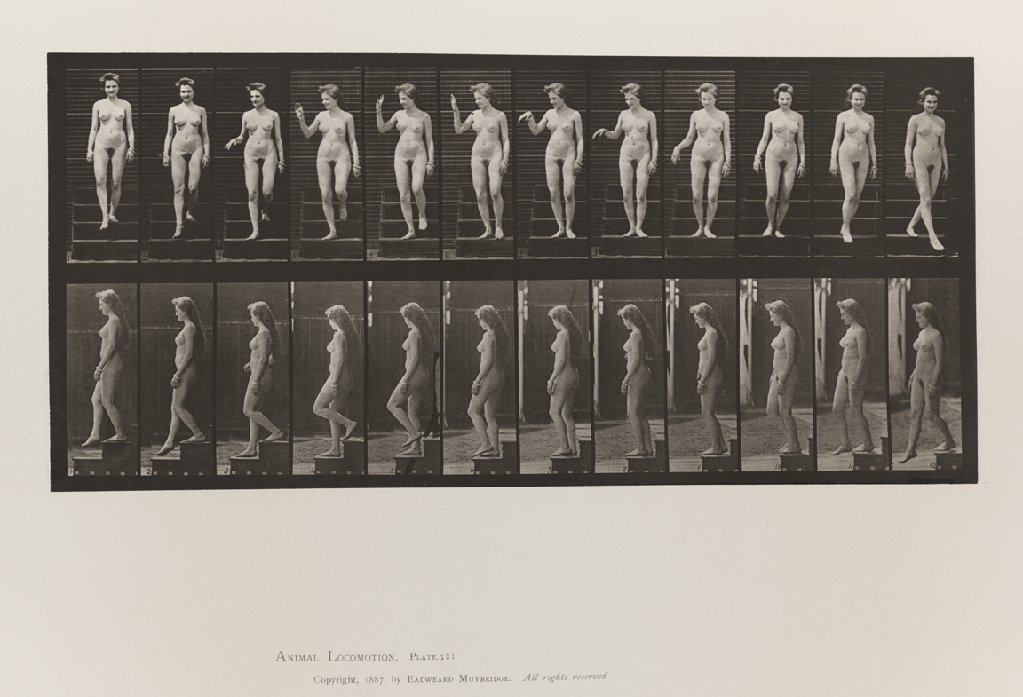 Animal Locomotion, Volume III, Women (Nude). Plate 131