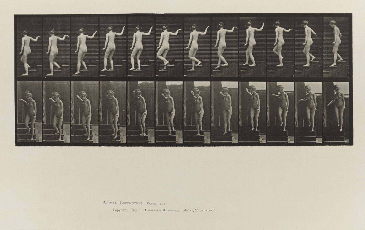 Animal Locomotion, Volume III, Women (Nude). Plate 132