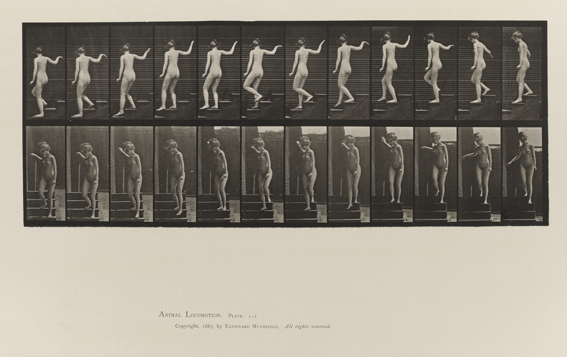 Animal Locomotion, Volume III, Women (Nude). Plate 132