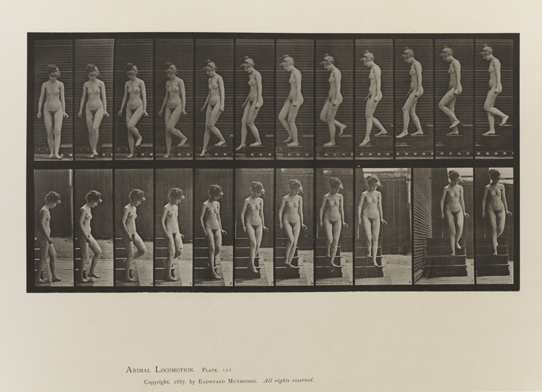 Animal Locomotion, Volume III, Women (Nude). Plate 137
