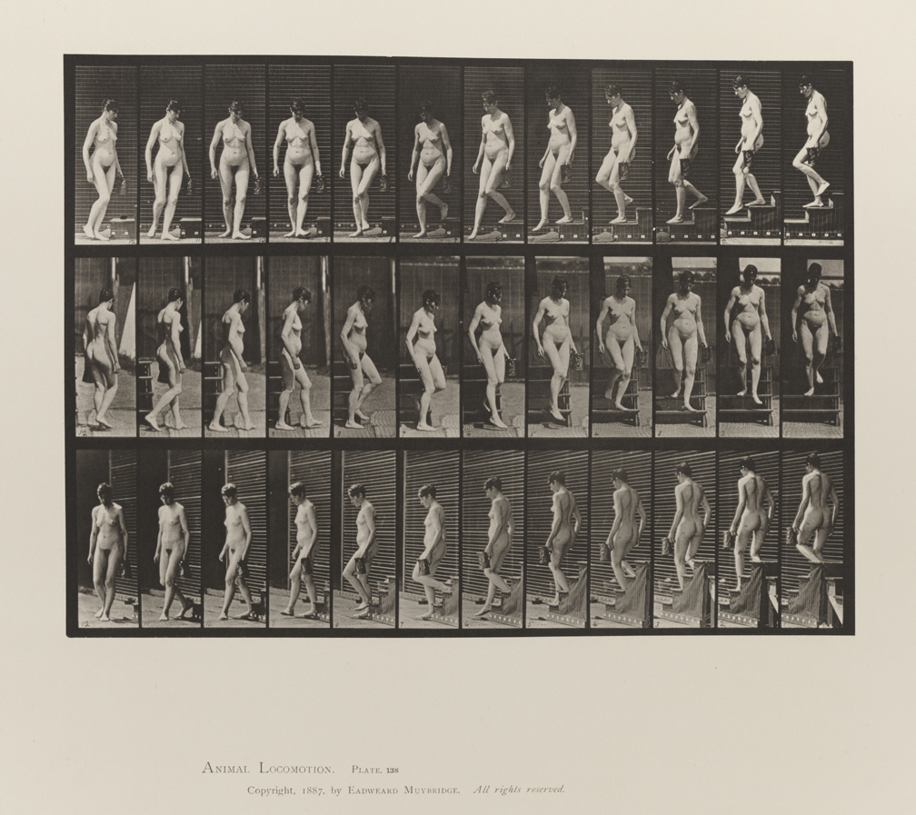 Animal Locomotion, Volume III, Women (Nude). Plate 138