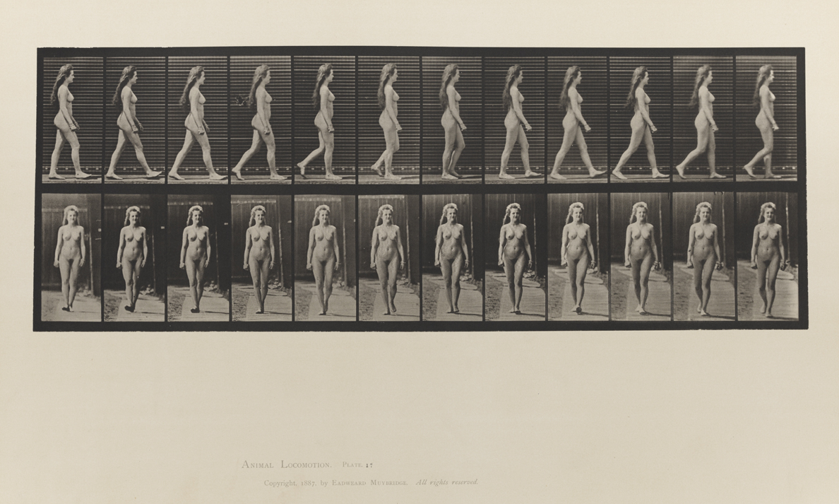 Animal Locomotion, Volume III, Women (Nude). Plate 17