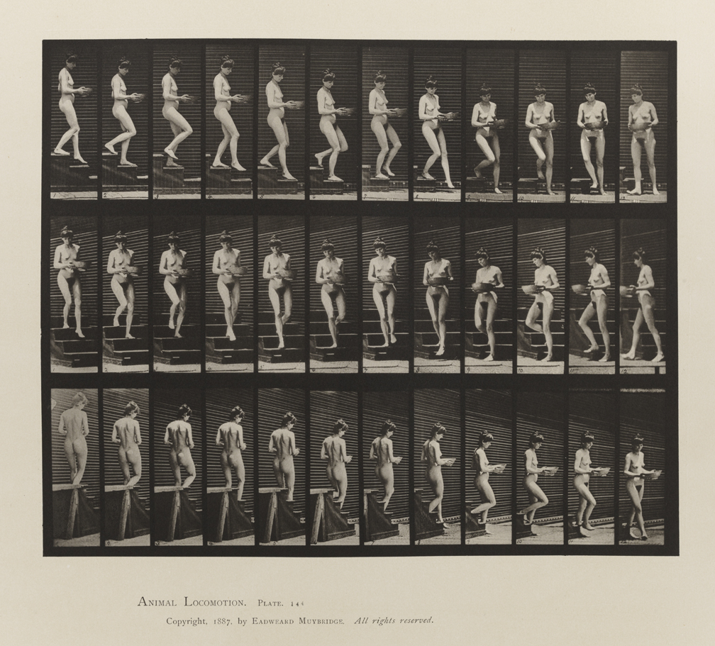 Animal Locomotion, Volume III, Women (Nude). Plate 144