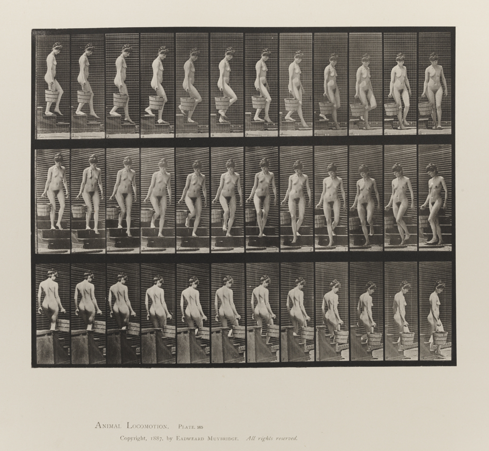 Animal Locomotion, Volume III, Women (Nude). Plate 145