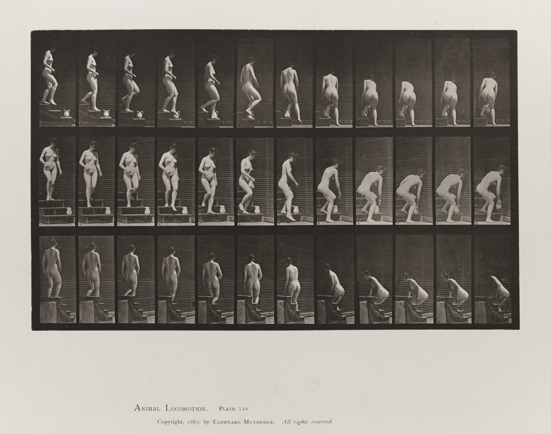 Animal Locomotion, Volume III, Women (Nude). Plate 149