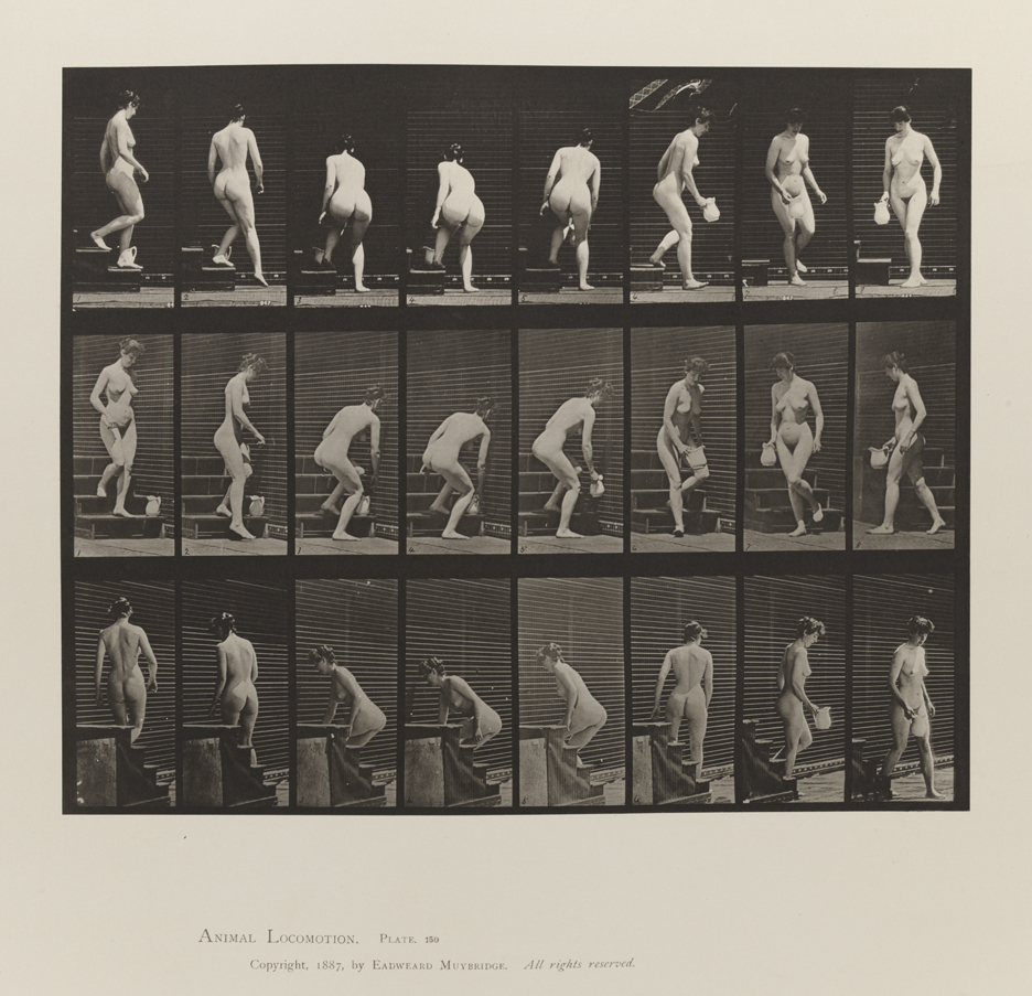 Animal Locomotion, Volume III, Women (Nude). Plate 150