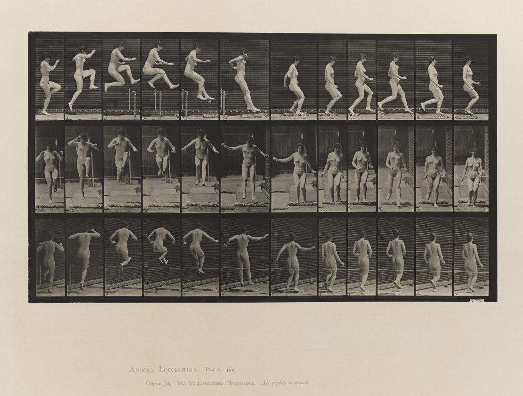 Animal Locomotion, Volume III, Women (Nude). Plate 155