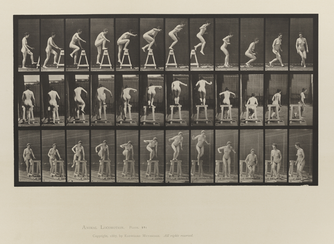 Animal Locomotion, Volume III, Women (Nude). Plate 171