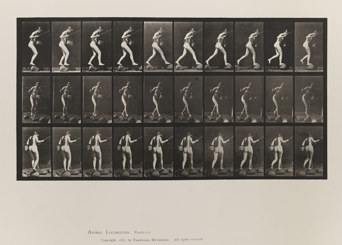 Animal Locomotion, Volume III, Women (Nude). Plate 176