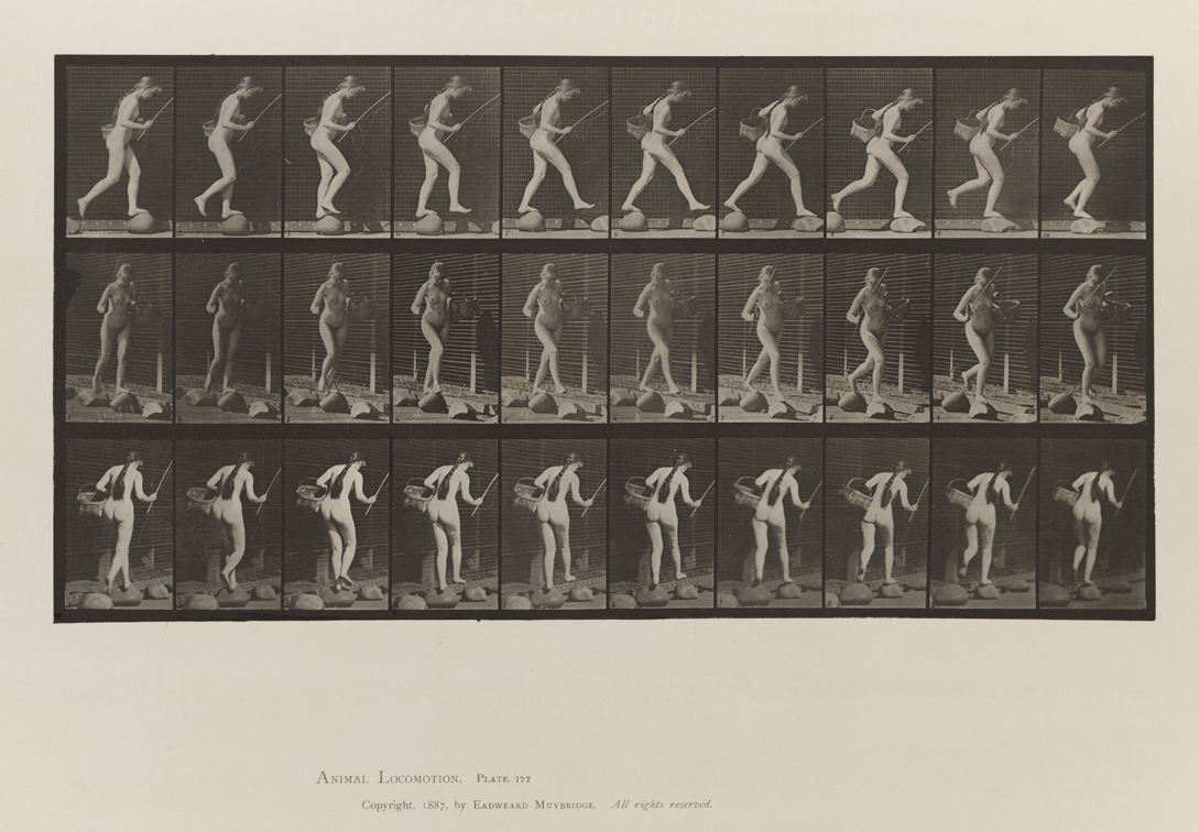 Animal Locomotion, Volume III, Women (Nude). Plate 177