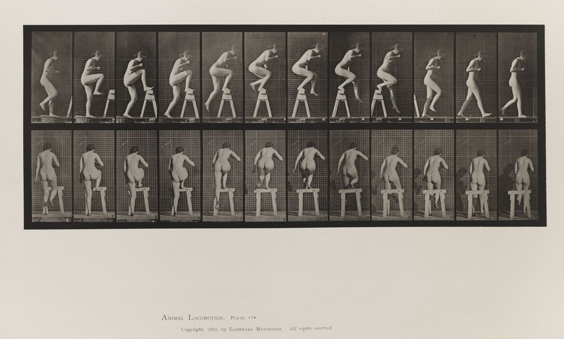 Animal Locomotion, Volume III, Women (Nude). Plate178