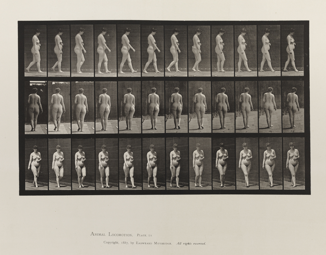 Animal Locomotion, Volume III, Women (Nude). Plate 18