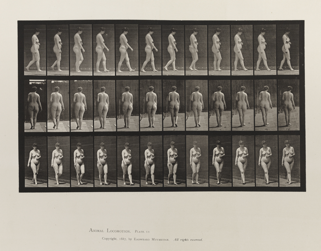 Animal Locomotion, Volume III, Women (Nude). Plate 18