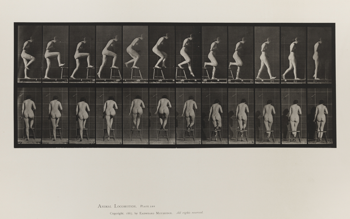 Animal Locomotion, Volume III, Women (Nude). Plate 180