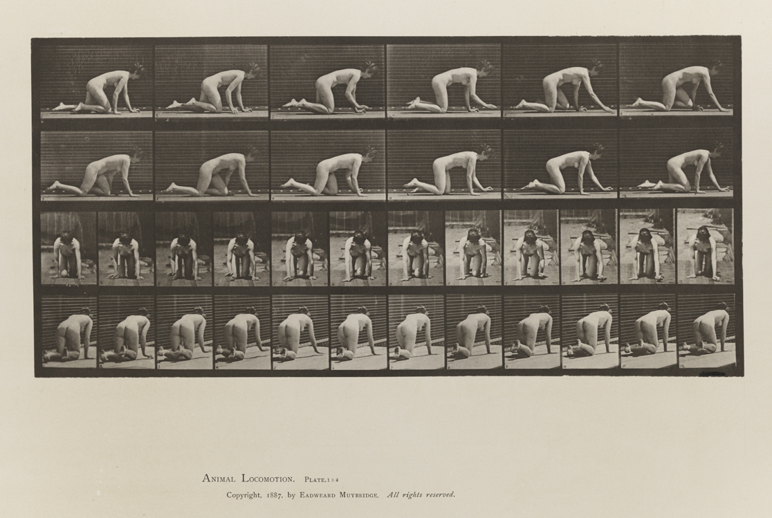 Animal Locomotion, Volume III, Women (Nude). Plate 182