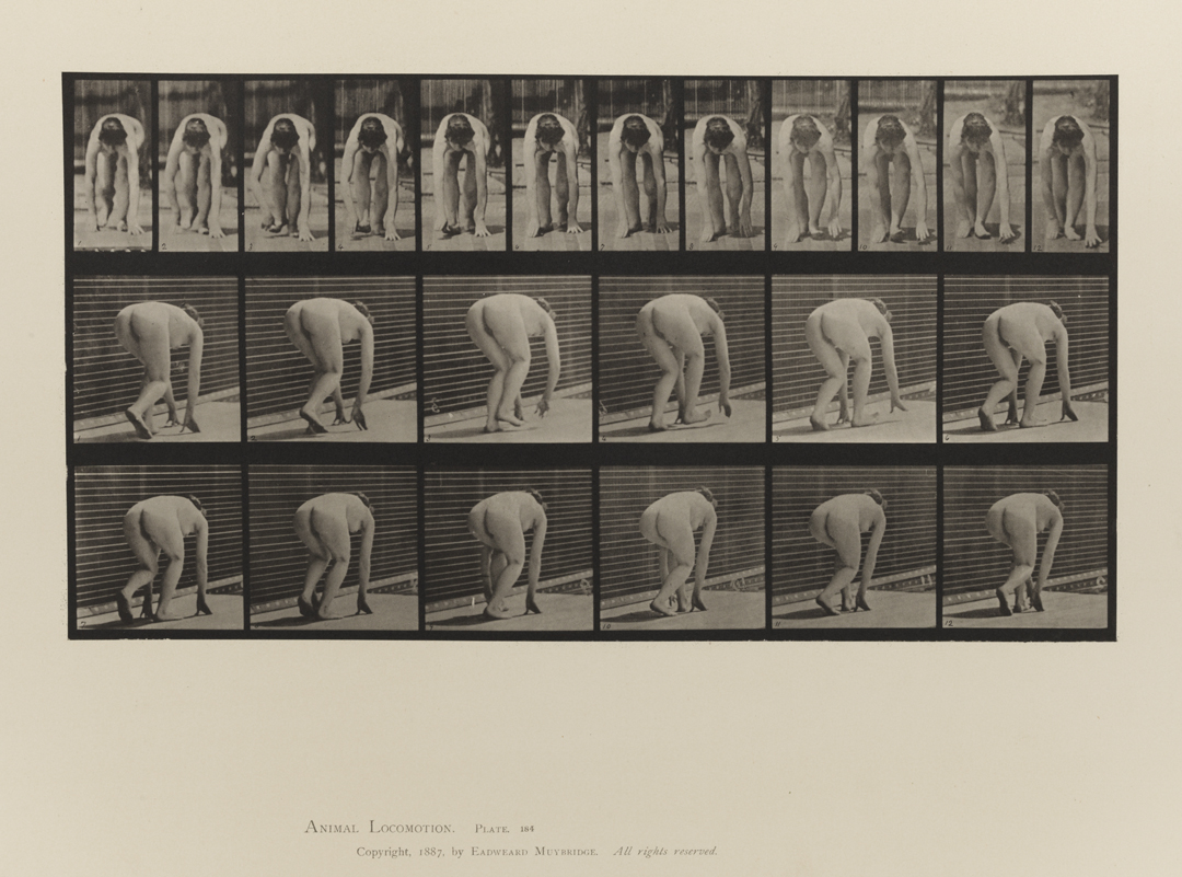 Animal Locomotion, Volume III, Women (Nude). Plate 184