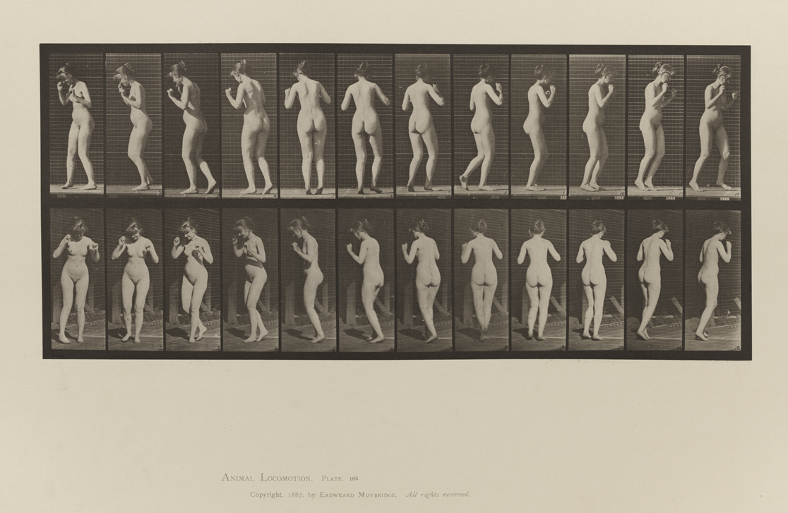 Animal Locomotion, Volume III, Women (Nude). Plate 195