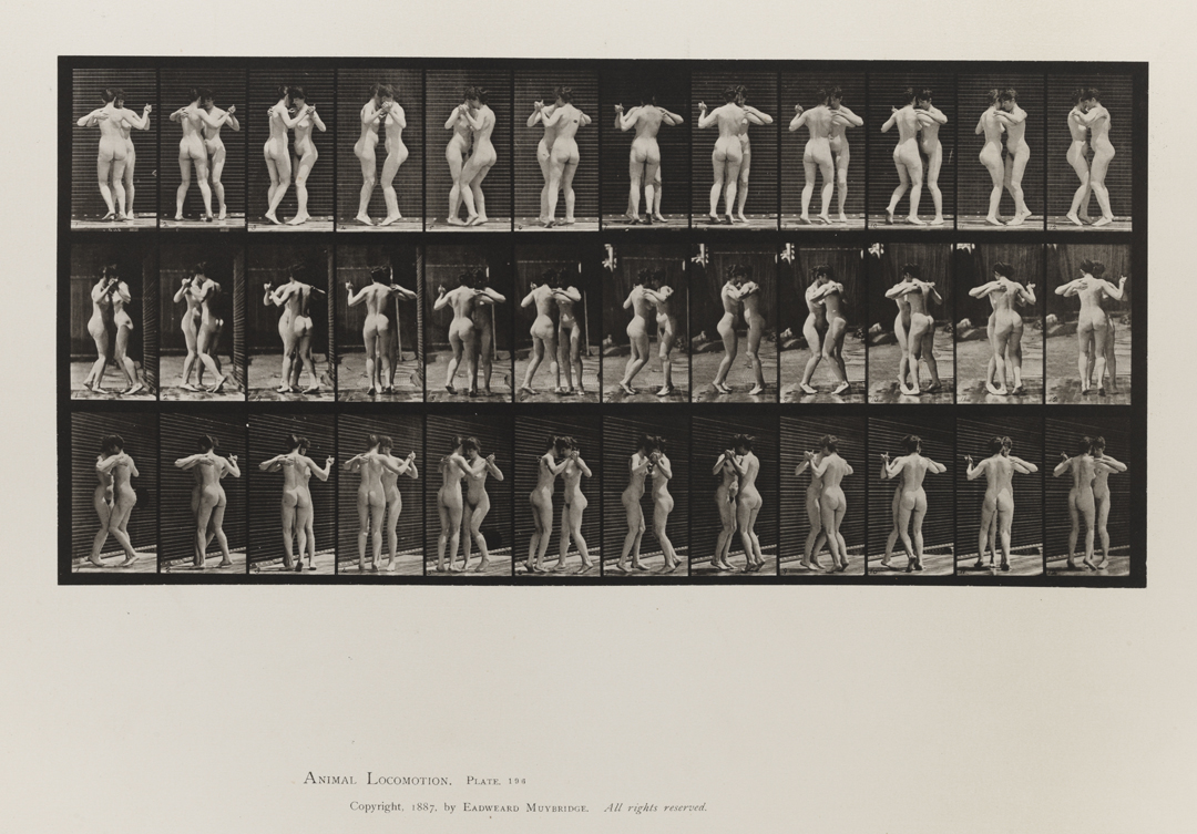 Animal Locomotion, Volume III, Women (Nude). Plate 196
