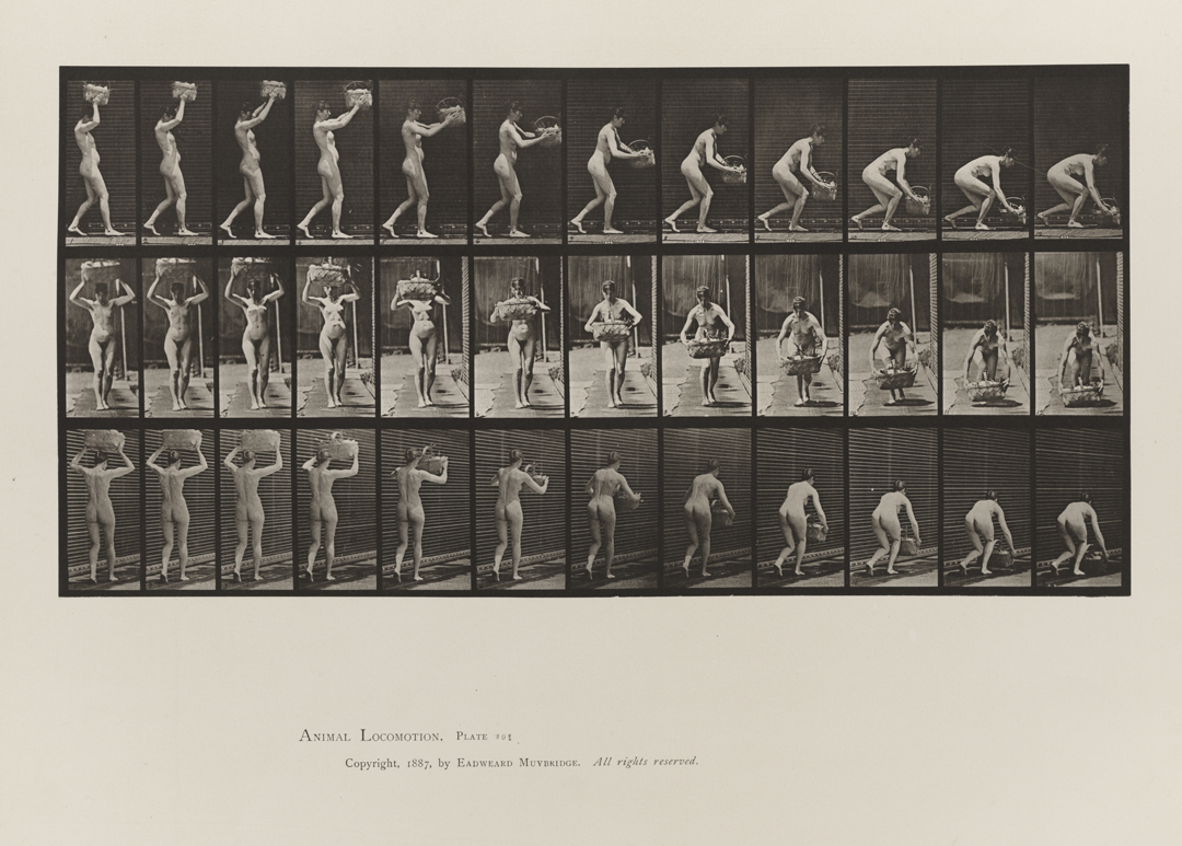 Animal Locomotion, Volume III, Women (Nude). Plate 201