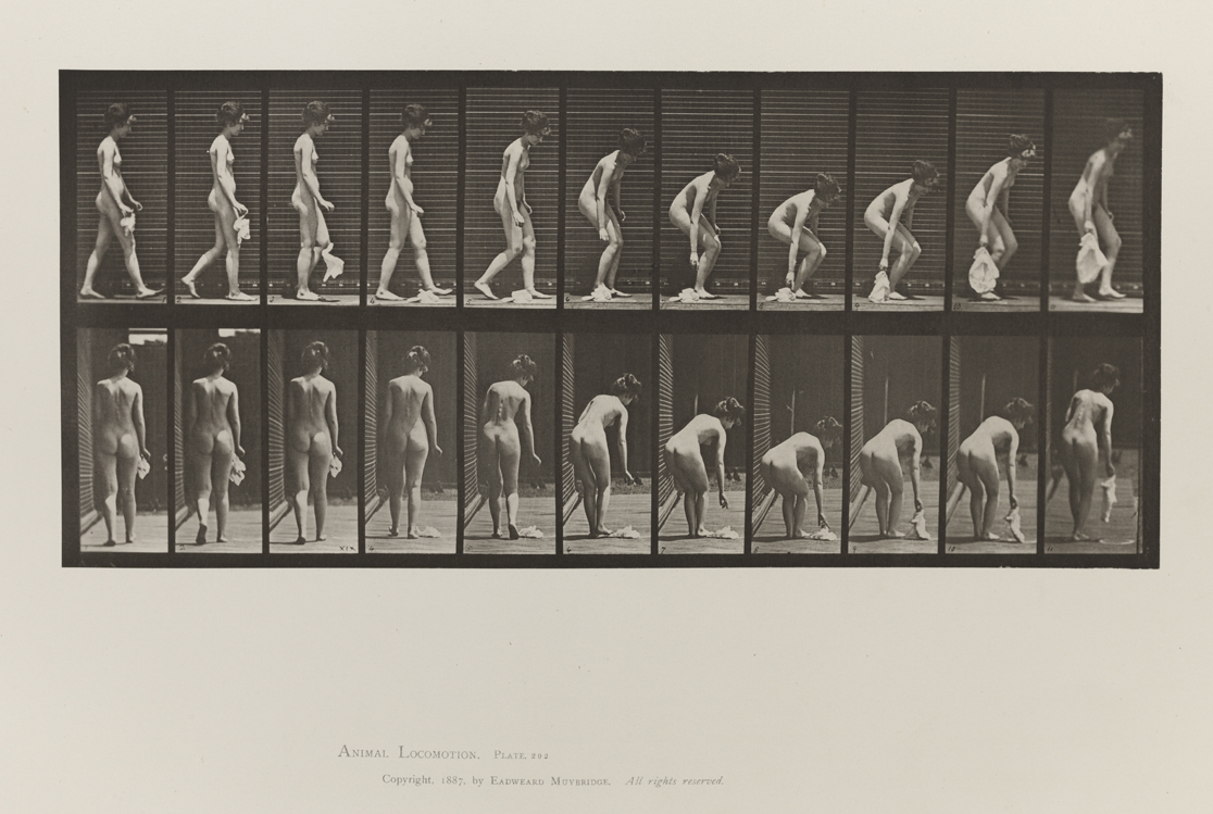 Animal Locomotion, Volume III, Women (Nude). Plate 202
