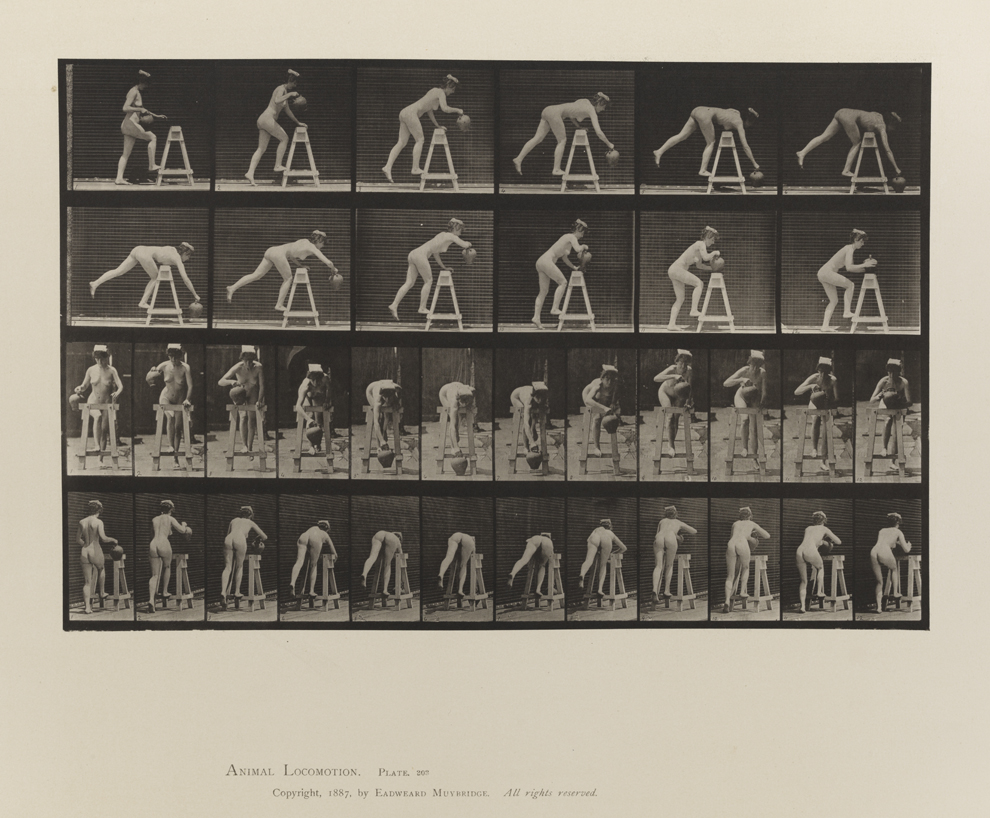 Animal Locomotion, Volume III, Women (Nude). Plate 203